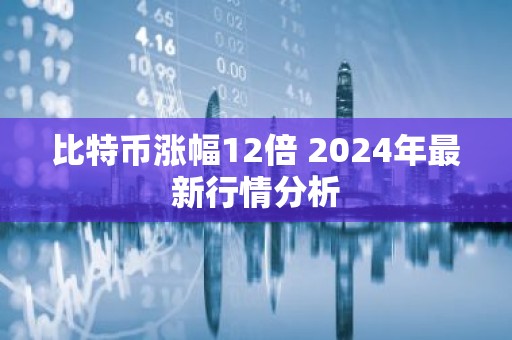 比特币涨幅12倍 2024年最新行情分析