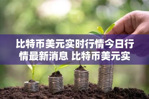 比特币美元实时行情今日行情最新消息 比特币美元实时行情今日行情最新消息查询
