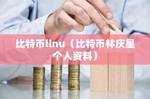 比特币linu（比特币林庆星个人资料）