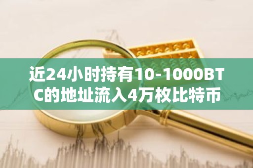 近24小时持有10-1000BTC的地址流入4万枚比特币