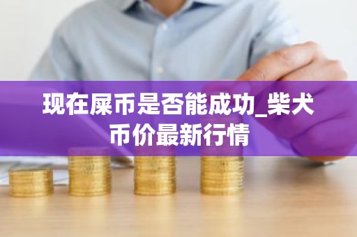 现在屎币是否能成功_柴犬币价最新行情