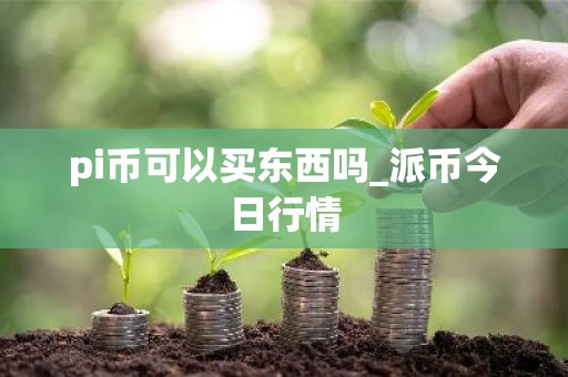 pi币可以买东西吗_派币今日行情