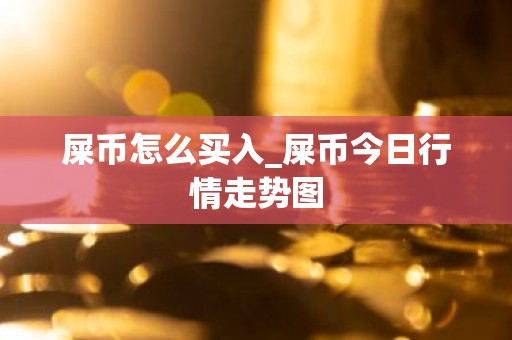 屎币怎么买入_屎币今日行情走势图