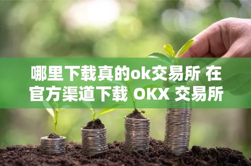 哪里下载真的ok交易所 在官方渠道下载 OKX 交易所
