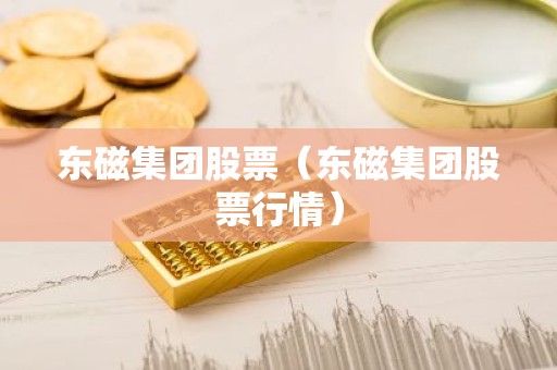 东磁集团股票（东磁集团股票行情）