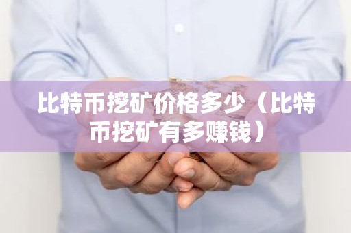 比特币挖矿价格多少（比特币挖矿有多赚钱）