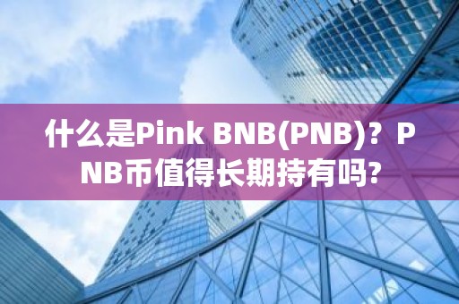 什么是Pink BNB(PNB)？PNB币值得长期持有吗?