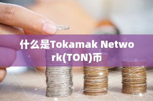 什么是Tokamak Network(TON)币