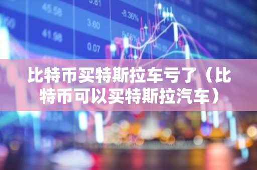 比特币买特斯拉车亏了（比特币可以买特斯拉汽车）