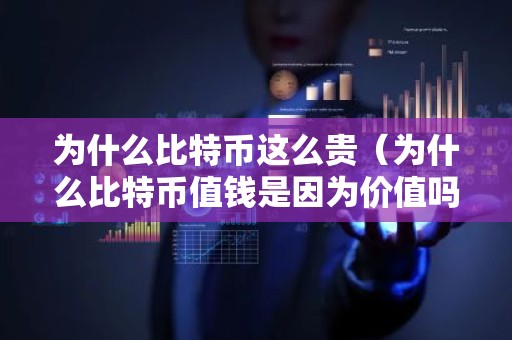 为什么比特币这么贵（为什么比特币值钱是因为价值吗）