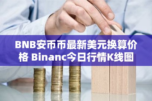 BNB安币币最新美元换算价格 Binanc今日行情K线图