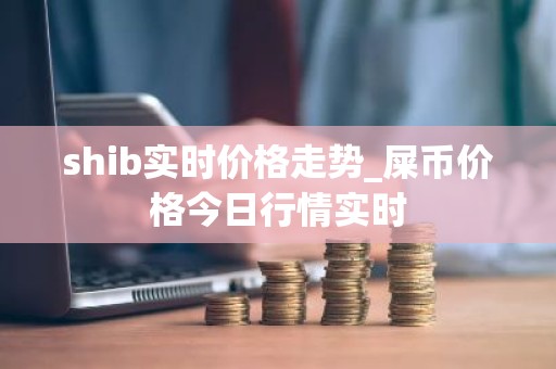 shib实时价格走势_屎币价格今日行情实时
