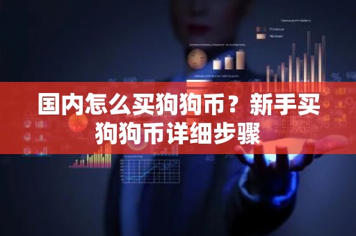国内怎么买狗狗币？新手买狗狗币详细步骤