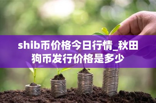 shib币价格今日行情_秋田狗币发行价格是多少