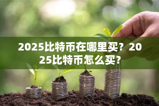 2025比特币在哪里买？2025比特币怎么买？