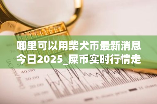 哪里可以用柴犬币最新消息今日2025_屎币实时行情走势
