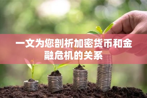 一文为您剖析加密货币和金融危机的关系