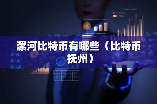漯河比特币有哪些（比特币 抚州）