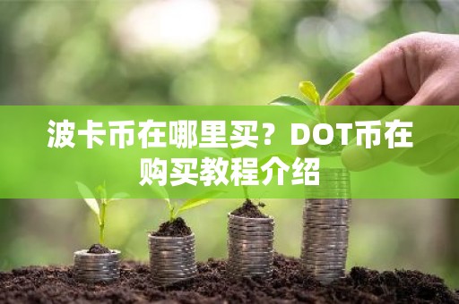 波卡币在哪里买？DOT币在购买教程介绍