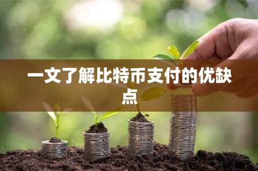 一文了解比特币支付的优缺点