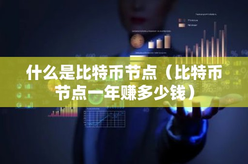 什么是比特币节点（比特币节点一年赚多少钱）