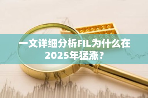 一文详细分析FIL为什么在2025年猛涨？