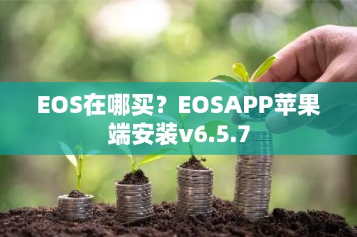 EOS在哪买？EOSAPP苹果端安装v6.5.7