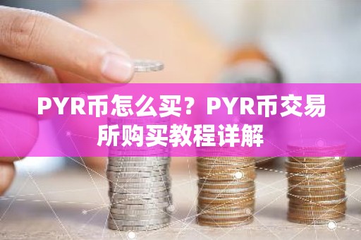 PYR币怎么买？PYR币交易所购买教程详解