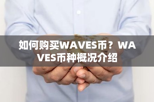 如何购买WAVES币？WAVES币种概况介绍