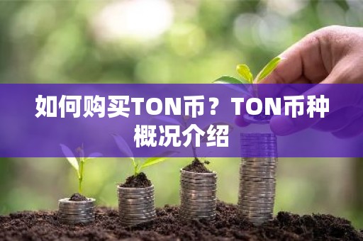 如何购买TON币？TON币种概况介绍