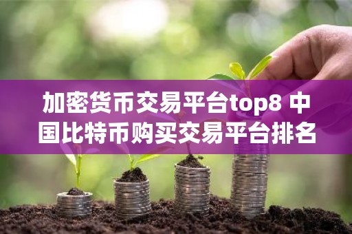 加密货币交易平台top8 中国比特币购买交易平台排名