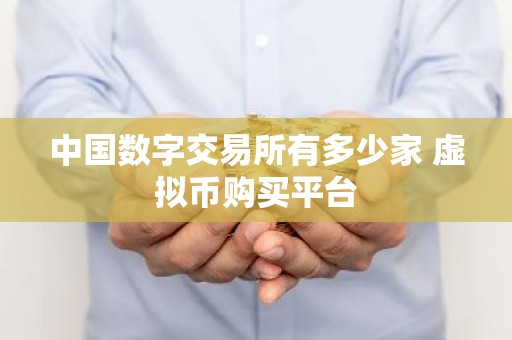 中国数字交易所有多少家 虚拟币购买平台