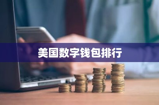 美国数字钱包排行