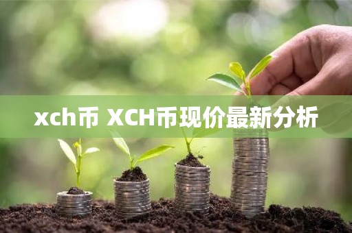 xch币 XCH币现价最新分析