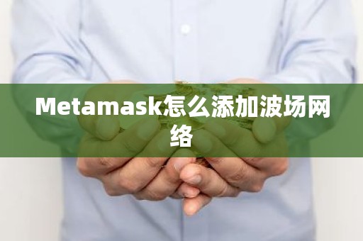 Metamask怎么添加波场网络