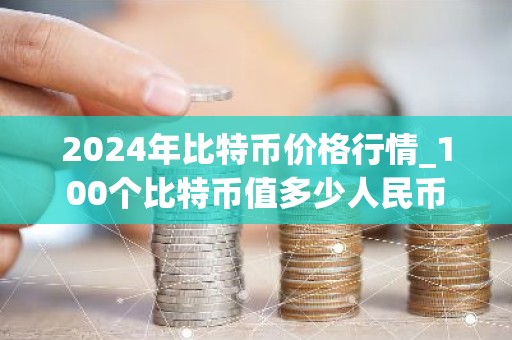 2024年比特币价格行情_100个比特币值多少人民币