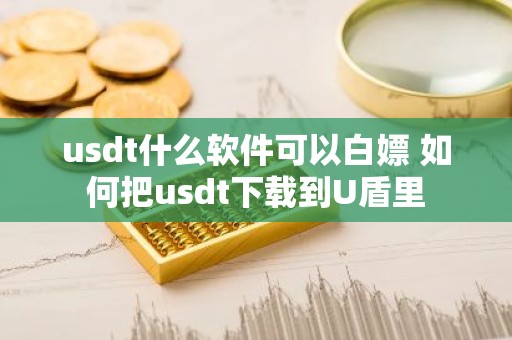 usdt什么软件可以白嫖 如何把usdt下载到U盾里