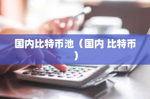国内比特币池（国内 比特币）