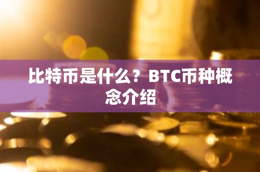 比特币是什么？BTC币种概念介绍