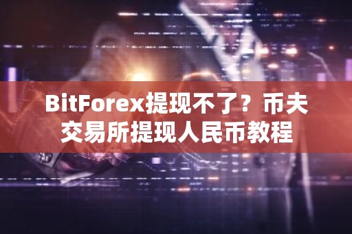 BitForex提现不了？币夫交易所提现人民币教程