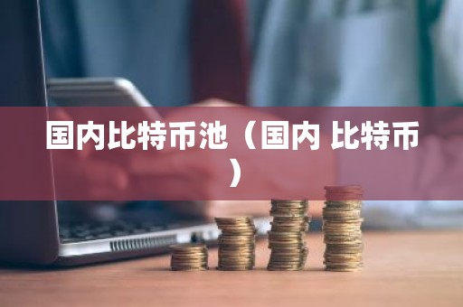 国内比特币池（国内 比特币）