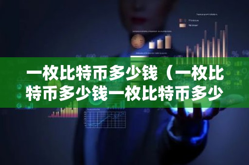 一枚比特币多少钱（一枚比特币多少钱一枚比特币多少美金）
