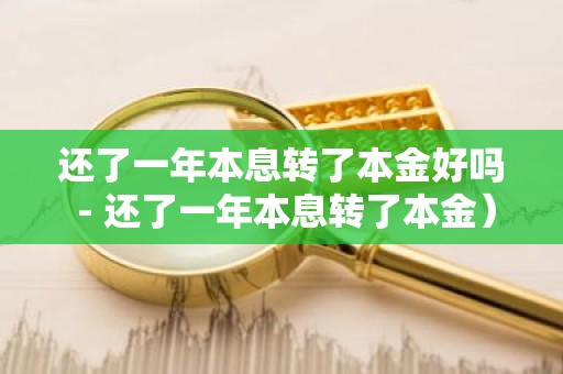 还了一年本息转了本金好吗 - 还了一年本息转了本金）