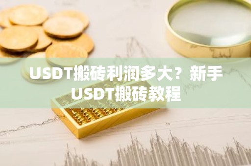 USDT搬砖利润多大？新手USDT搬砖教程