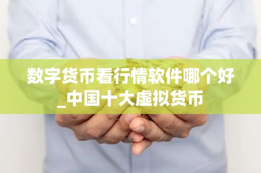 数字货币看行情软件哪个好_中国十大虚拟货币