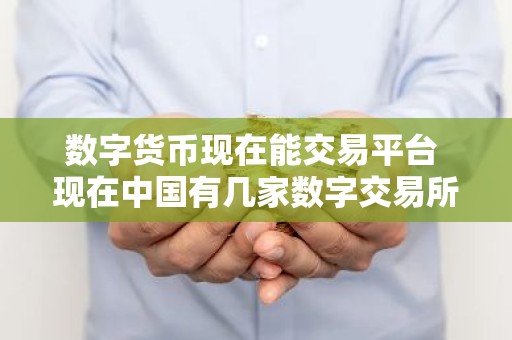 数字货币现在能交易平台 现在中国有几家数字交易所