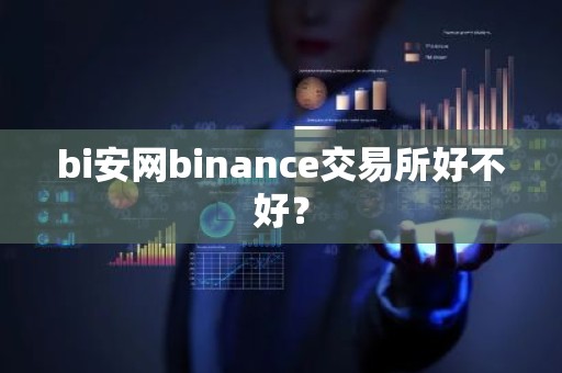 bi安网binance交易所好不好？