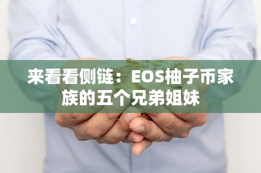 来看看侧链：EOS柚子币家族的五个兄弟姐妹