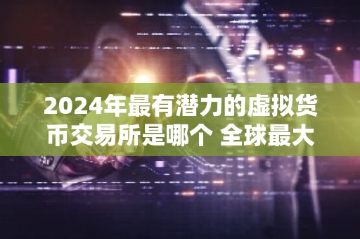 2024年最有潜力的虚拟货币交易所是哪个 全球最大的比特币交易平台是什么