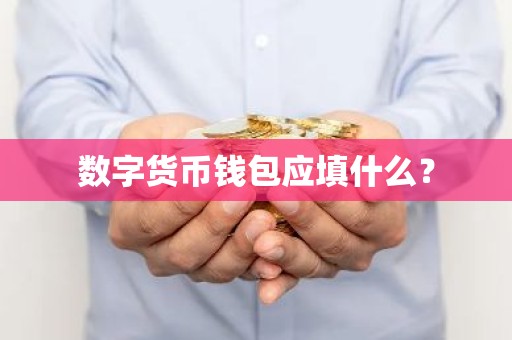 数字货币钱包应填什么？
